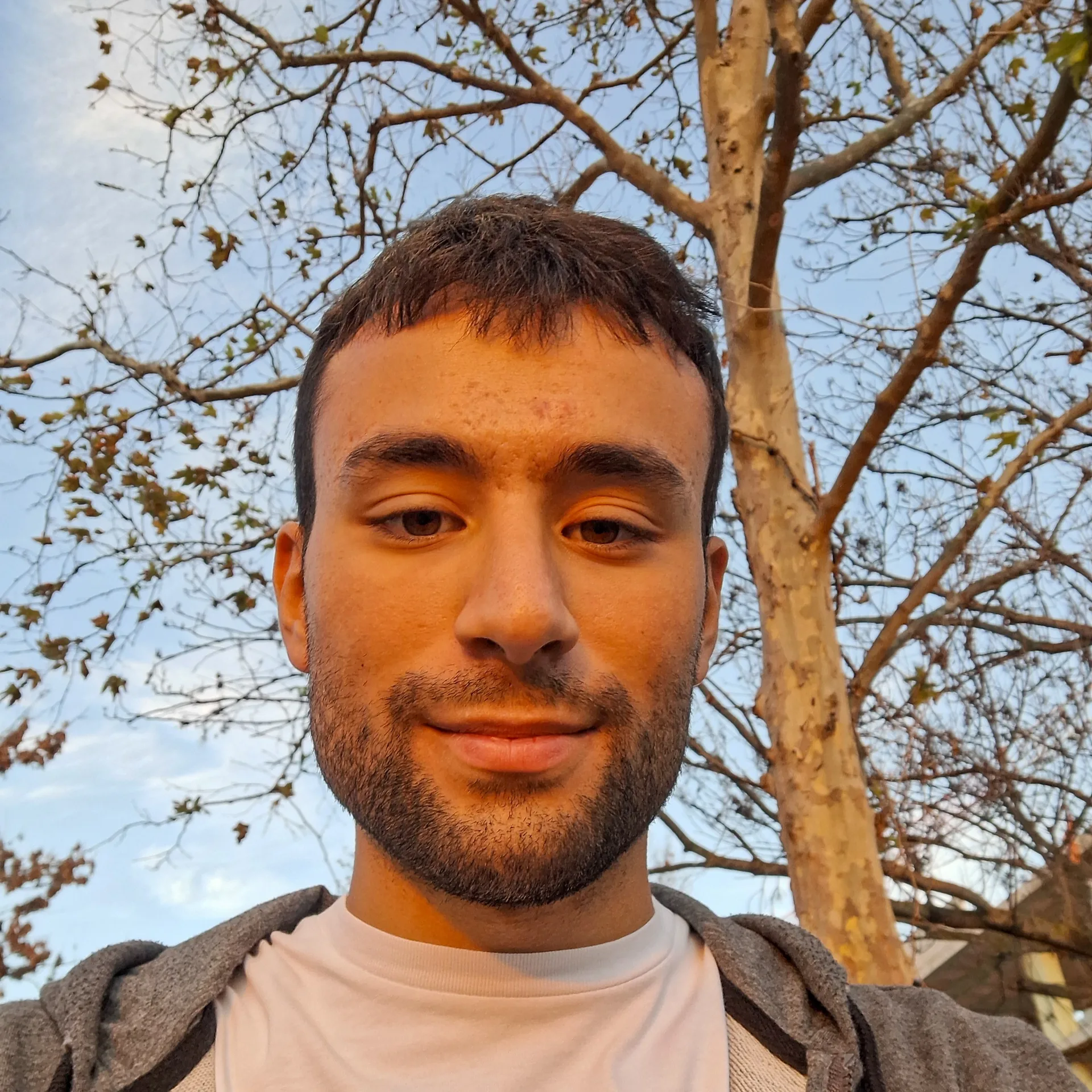 Can Çebi
